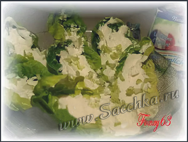 Салатные листья со свежим козьим сыром