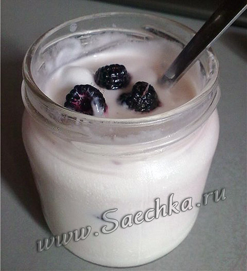Йогурт с ежевикой и кокосом