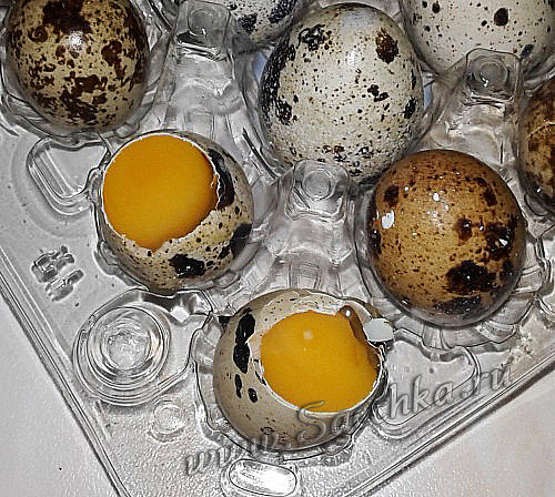 Разбить перепелиные яйца можно