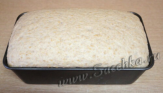 Хлеб с пшеничкой и творогом - шаг 3