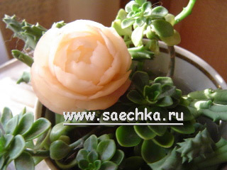 Картофельная роза