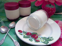 Сливочно-кокосовый йогурт с клубникой